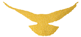 090222gsfbtpspvxrz3xo1.png