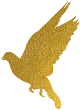 090223zejnanzej8jwvwf4.png