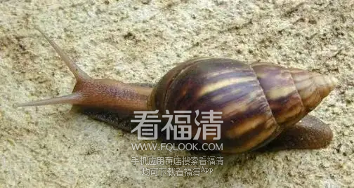 173603a2z9tdt72wbo2ei2.png