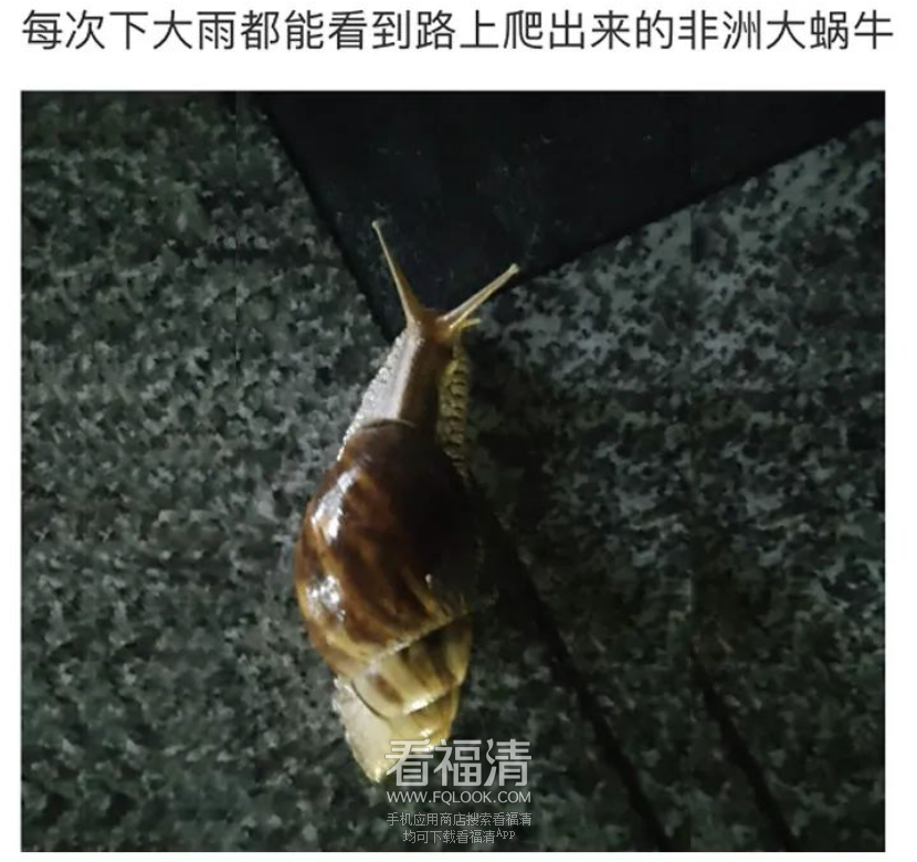 173603hd7qd6mvevqeephv.png