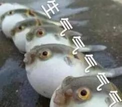 085955vt4enjd39zmjdqtj.jpeg