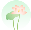 095211zouxxlv9upx09uqf.png