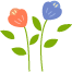 084017a68lax46vncjvack.png