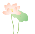 084017vzrgl1vvqv55zjgl.png