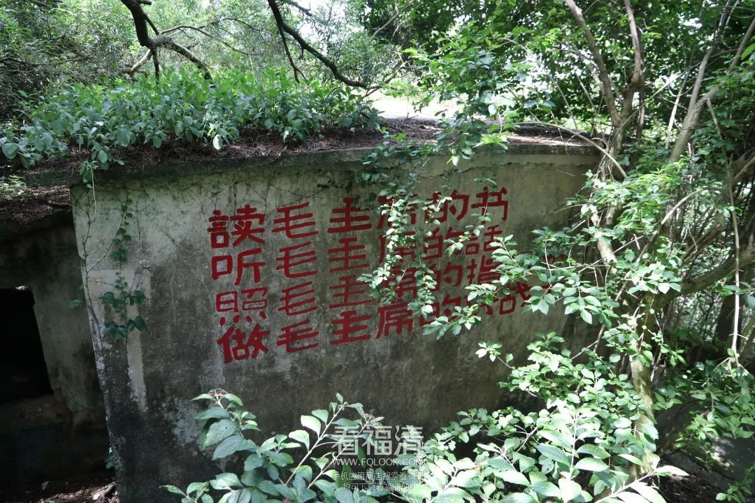 092759gydd1wwv81m1l3bd.jpeg