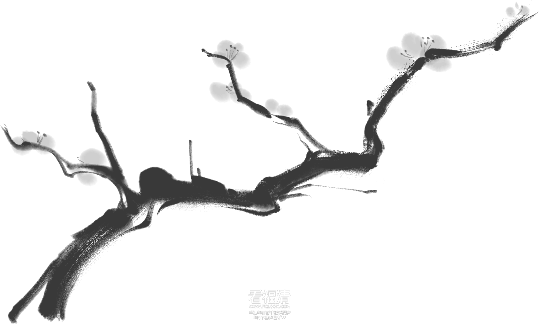 155612wnt7ducgr1a7f7dg.png