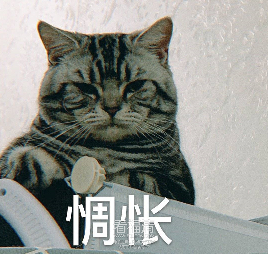 160258y2d88chl8civ4qoo.png