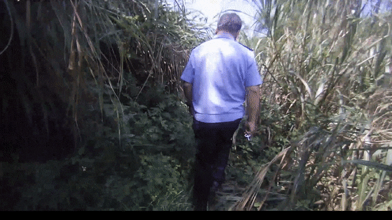 201443g992ccpd02t0qc9d.gif