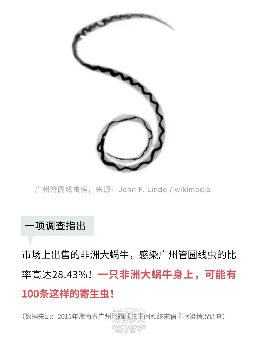 105347ftzcabqqbnb2dcbc.jpeg