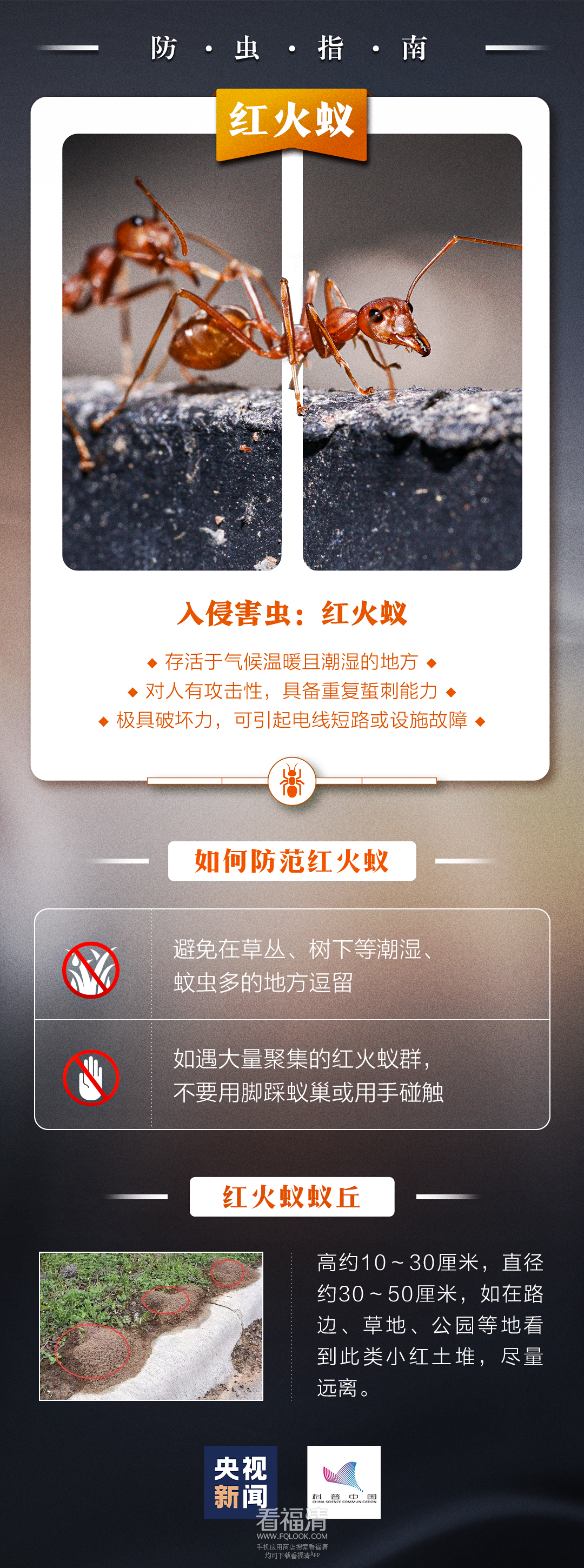 170632d993i9o69ot9kmof.png