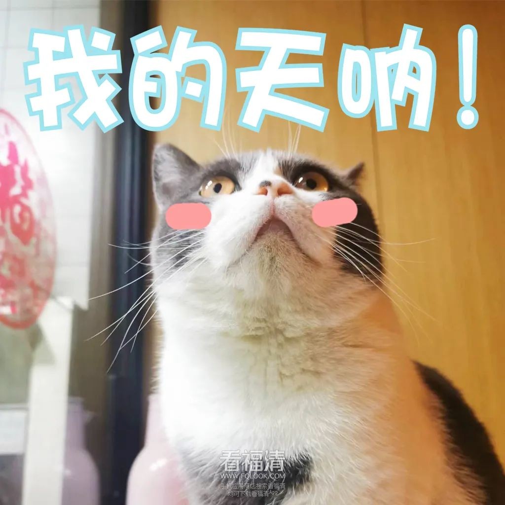 091318mnzgm3mwim79e2lp.jpeg
