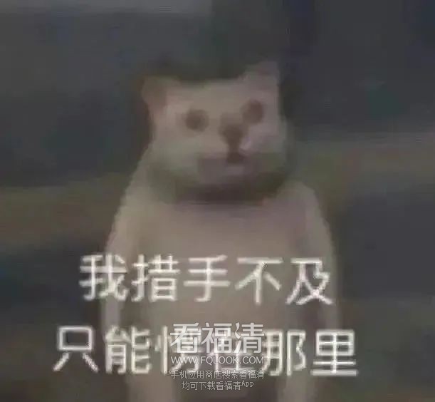 090743mg0qzsgsmje5zks7.jpeg