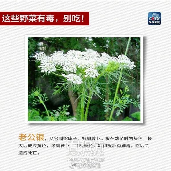 120824hwvf5ivb4wc1weiu.jpeg