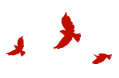 155220qrjq1331bx211u3q.gif