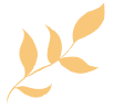 164827sr8sxou1t1bo9btb.gif