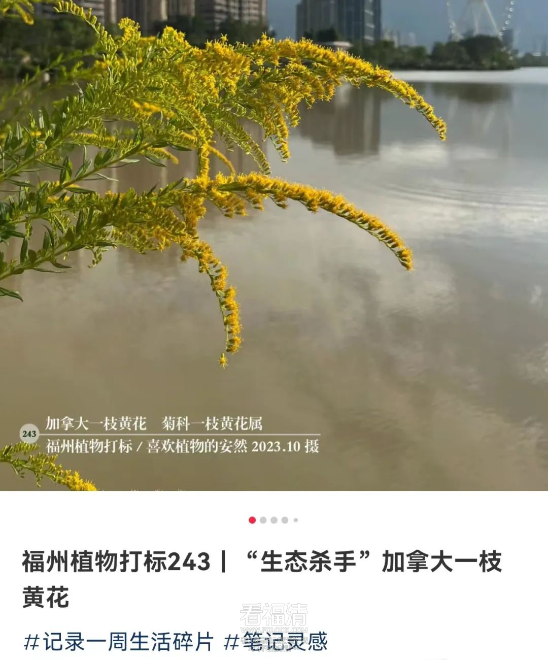 084740oa6c5722y6wc4pl6.png