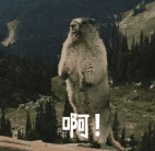 090353b9bnbbezv0bbf909.gif