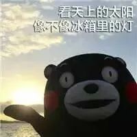 132437h87x337jjxdjn2bx.jpeg