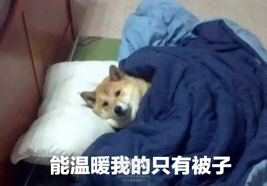 132437twp69919ik0mg0ve.jpeg