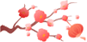 093509njaczpo8o5m9o8g1.png