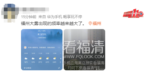 101312zen3ov1dpp54pozi.png