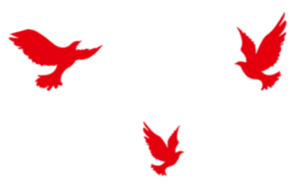 100358masq845hr3hmy8sm.png