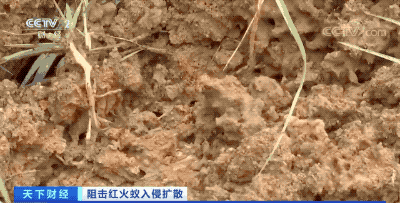090351t46466s986uuc6a8.gif