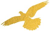 114034iatpr2kake2akyen.png