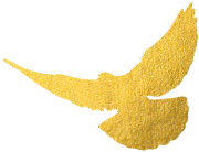 114034r8cvmw65t569h9tv.png