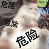 090658ft3v2q30m91ju60m.png