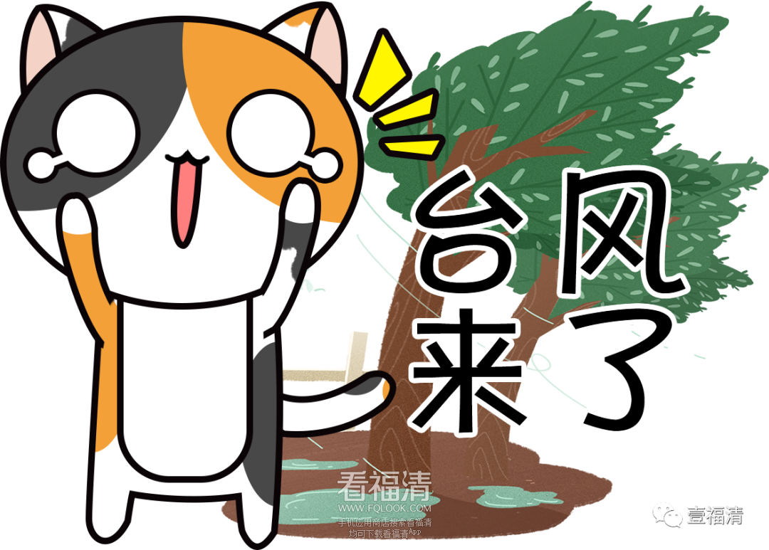 164713whhjw649kcqzzc06.png