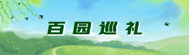154249xvzjvovjckuprcty.gif