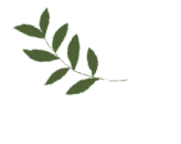 154250y11rgq8gq8n1zq8g.gif