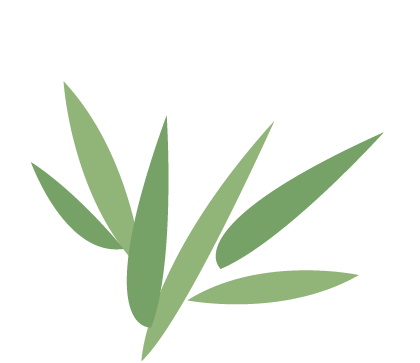 142648seq54tc12y45q241.png