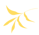 085955nh8ydxyamutvnyot.gif