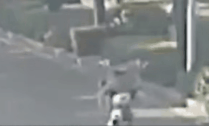 091743hqt5qlq3880q65qb.gif