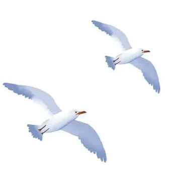 092051c88s894k8qnan9j6.png