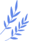 085531d7t666q9rsp6d7up.png