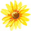 130845nvpj1mp1b6mbg1hh.png