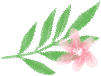 111449o6cxp3kxci66gk6c.png