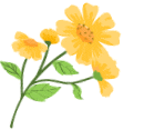 111454ixy44dwx3re0ujd9.gif