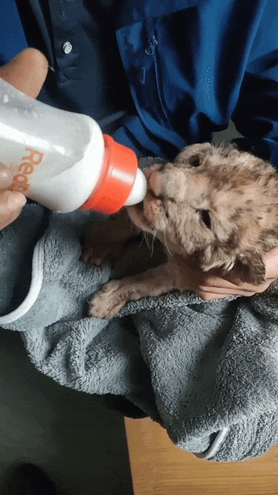 090814vjy04zfjpk0jymbj.gif