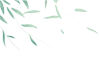 173054sz02kkjmkqg72ega.png