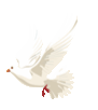 091940h1obb1vli18o8vef.gif