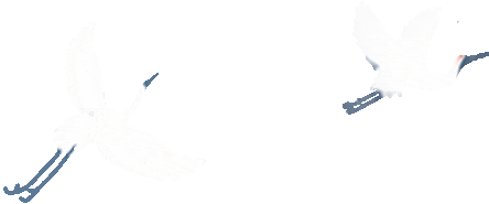 085018vt8o2c2qhitt8659.gif