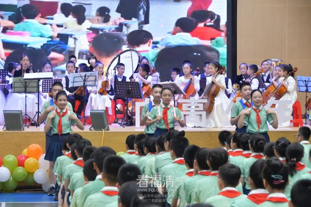 085019fpqr9sxyr33lp136.jpeg