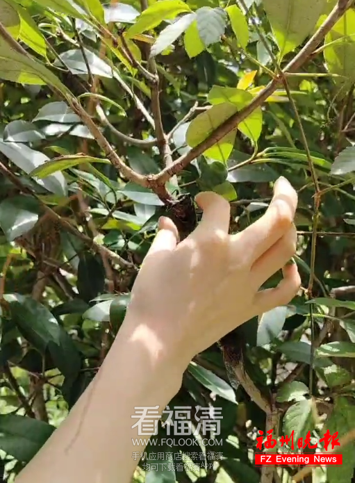 140533wimaxm0kymfirxw3.png