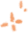 163534pj0pj9v34mz0zpb0.png