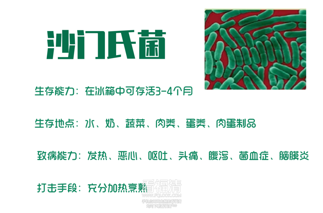 141104voihrioozfo01x7i.png