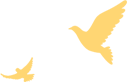 174809zytat8mzskyzzrzk.png